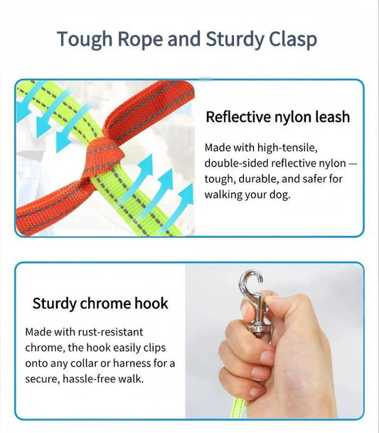 Tangle-Free Dual Dog Leash with 360° Swivel Head – For 2 Small to Medium Dogs (30 lbs) - The Zoo Mart