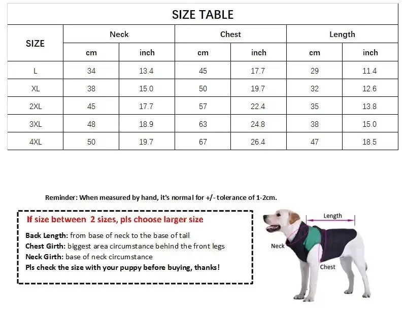 Yellow Dinosaur Raincoat - The Zoo Mart