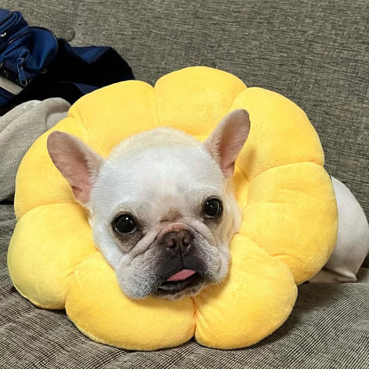 Sunflower Neck Pillow - The Zoo Mart