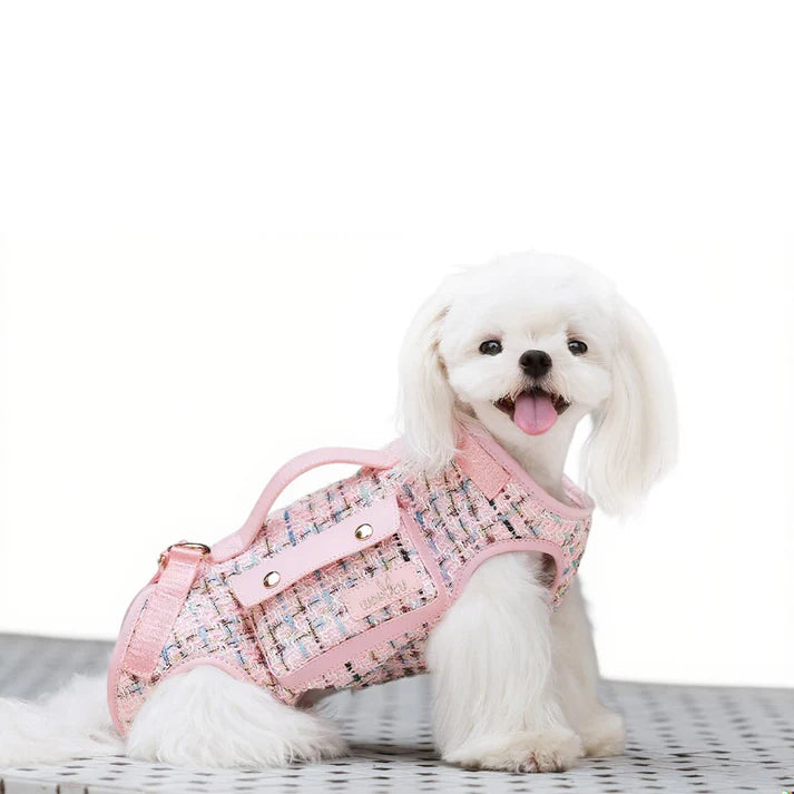 Multifunctional Pet Carry Bag