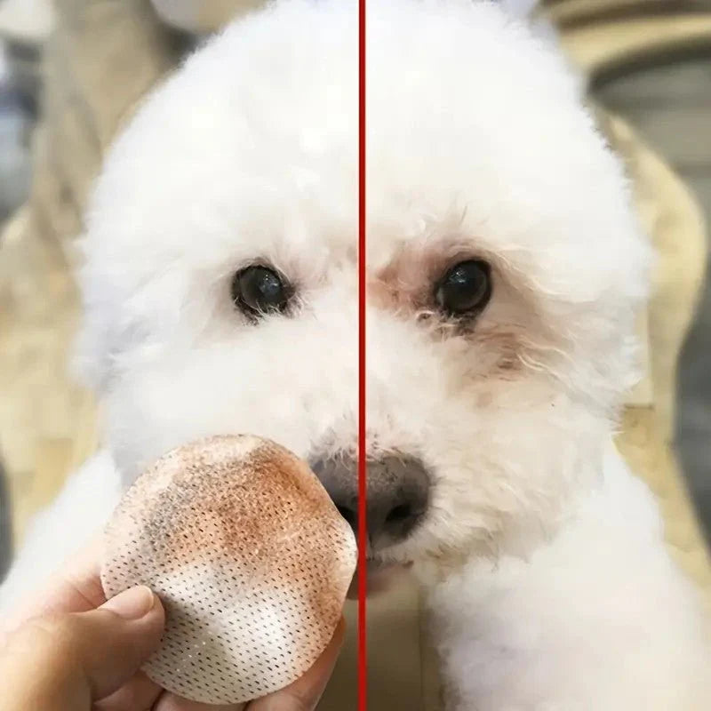 Pet Tear Stain Cleaning Wipes 130 pcs - The Zoo Mart