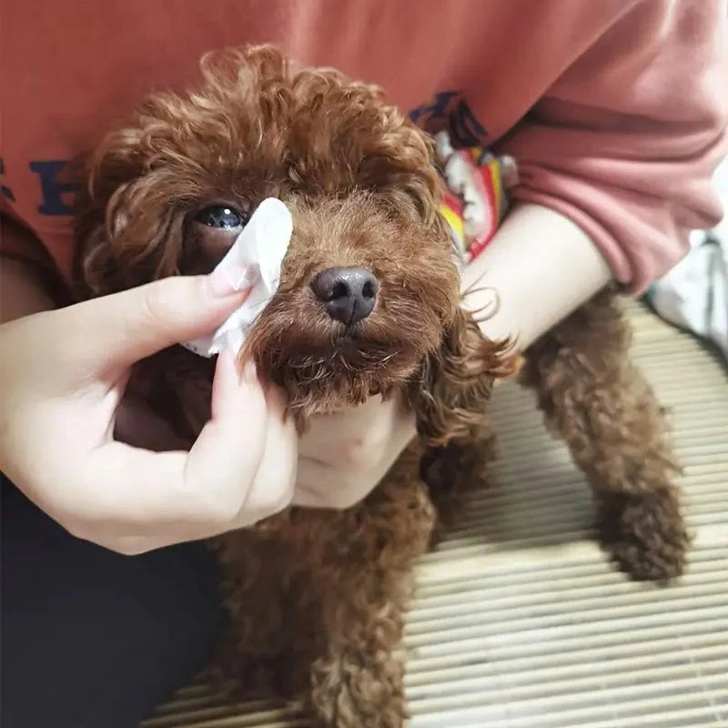 Pet Tear Stain Cleaning Wipes 130 pcs - The Zoo Mart