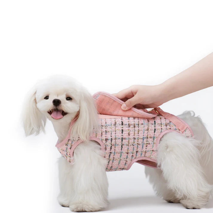 Multifunctional Pet Carry Bag - The Zoo Mart