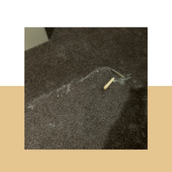 Pet Hair Remover