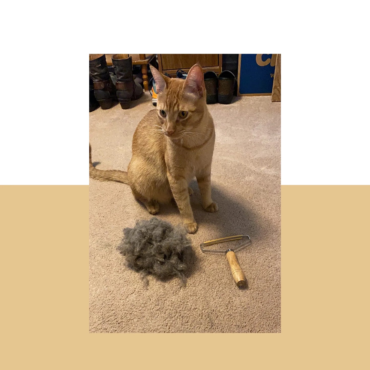 Pet Hair Remover - The Zoo Mart