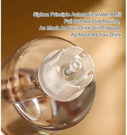 2-in-1 Automatic Pet Feeder and Water Dispenser Set - The Zoo Mart