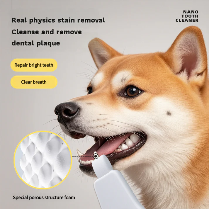 Pet nano dental wipe, which can clean dog's dental plaque and remove tooth stains - The Zoo Mart
