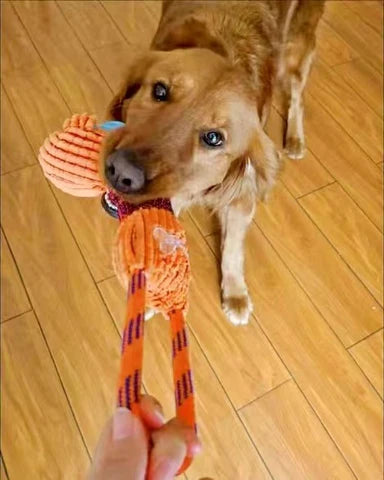 Chew crew Animal Toys For Dog