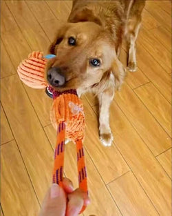 Chew crew Animal Toys For Dog