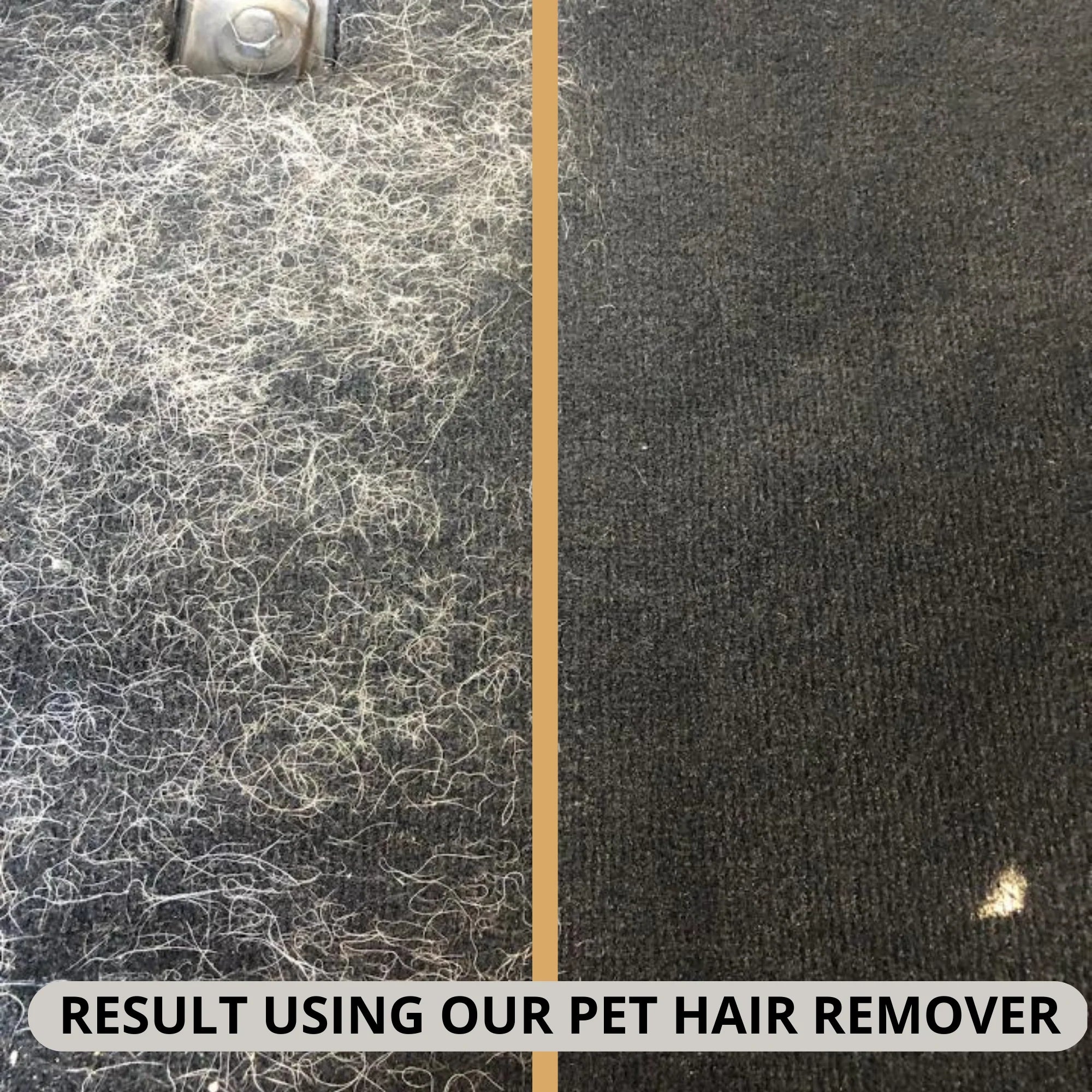 Pet Hair Remover