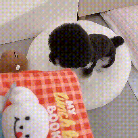 Folding  Wallet  Snuffle Toy