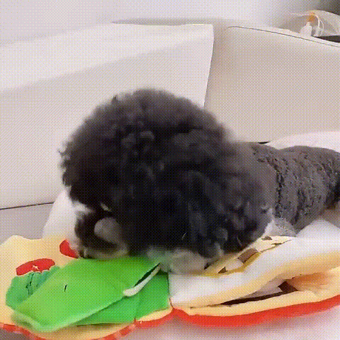 Folding  Wallet  Snuffle Toy