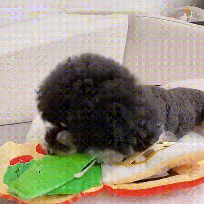 Folding  Wallet  Snuffle Toy - The Zoo Mart