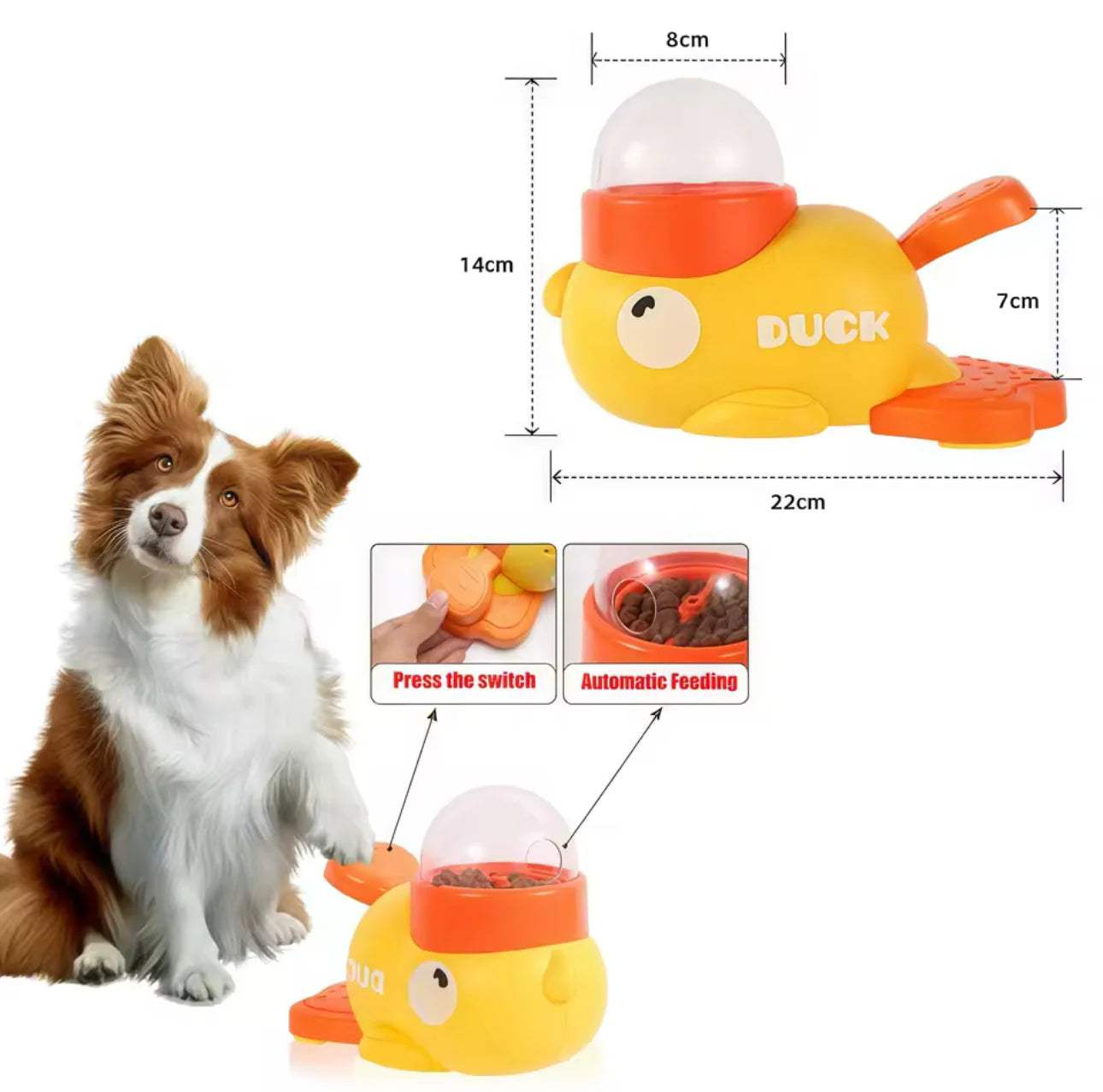 SmartyDuck Feeder - The Zoo Mart