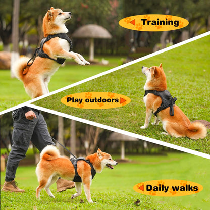 3 in 1 Dog Harness with Built-In Leash - The Zoo Mart