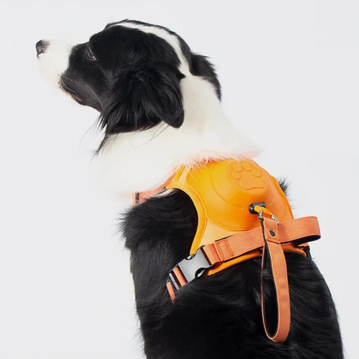 3 in 1 Dog Harness with Built-In Leash
