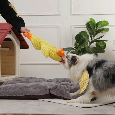 Calm Feathers Dog Toy