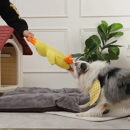Calm Feathers Dog Toy - The Zoo Mart