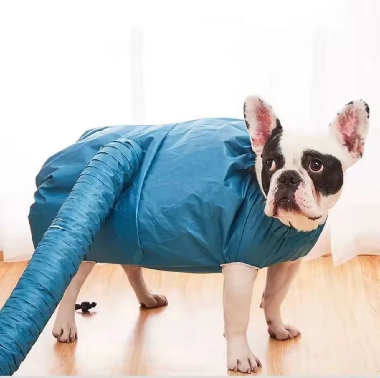 Hands-Free Dog Drying Jacket with Air Hose | Quick & Stress-Free Pet Dryer Suit