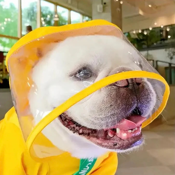 Yellow Dinosaur Raincoat