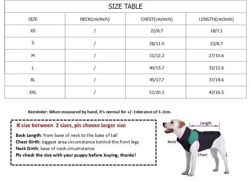 Transparent Raincoat