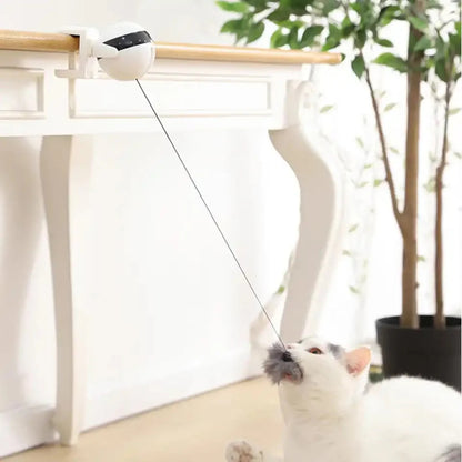 Yo-Yo Interactive Cat Toy with Clamp – Automatic Hanging Plush Teaser for Indoor Cats