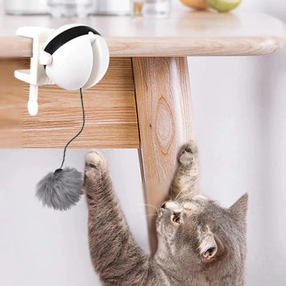 Yo-Yo Interactive Cat Toy with Clamp – Automatic Hanging Plush Teaser for Indoor Cats