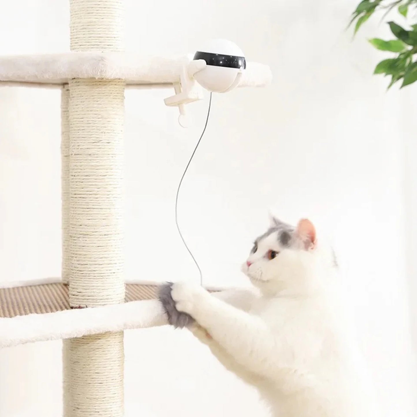 Yo-Yo Interactive Cat Toy with Clamp – Automatic Hanging Plush Teaser for Indoor Cats