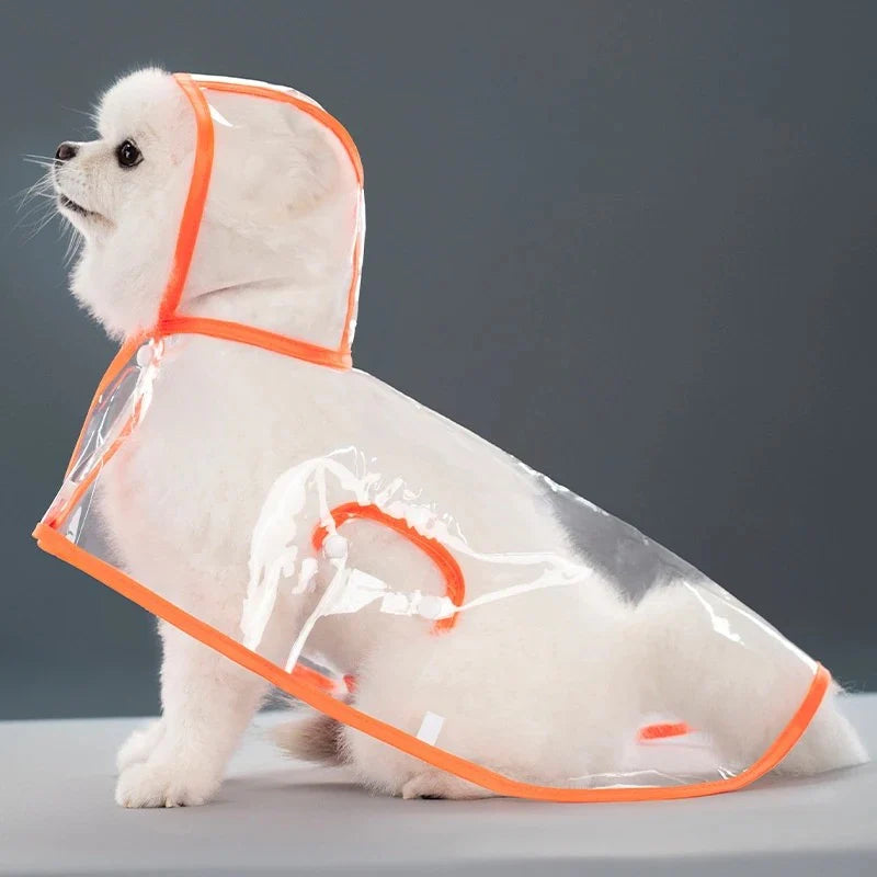 Transparent Raincoat - The Zoo Mart