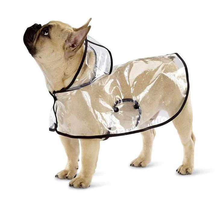 Transparent Raincoat