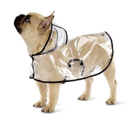 Transparent Raincoat - The Zoo Mart