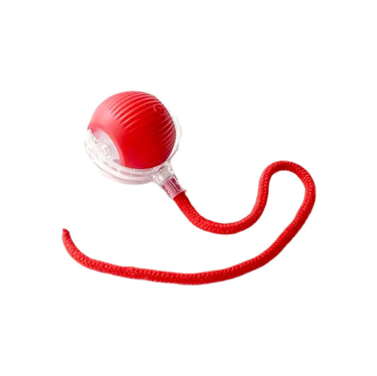 Interactive Rolling Ball Toy - The Zoo Mart