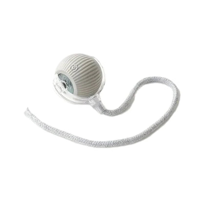 Interactive Rolling Ball Toy - The Zoo Mart