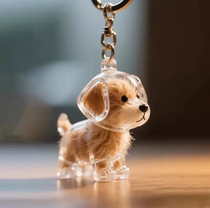 Dog Hair Memory Capsule - The Zoo Mart