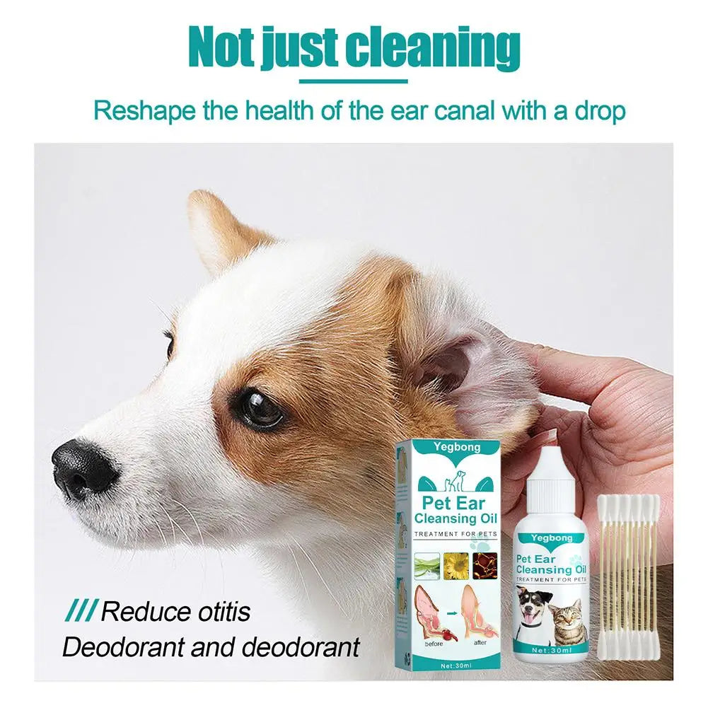 Ear Drop With Cotton Swabs