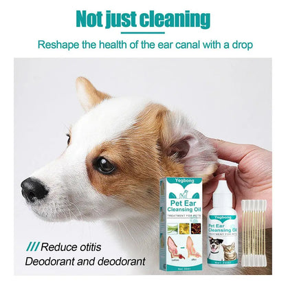 Ear Drop With Cotton Swabs - The Zoo Mart