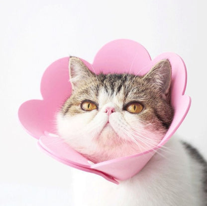 Pet EVA Sponge Lick-proof Sterilization Collar - The Zoo Mart