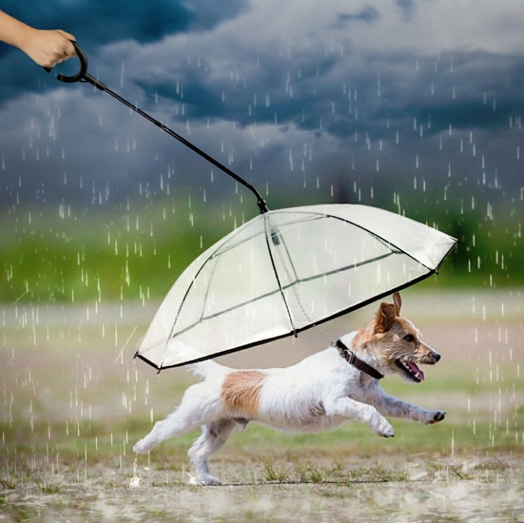 Pet Umbrella Transparent Adjustable Rainy Dog Walking Leash - The Zoo Mart