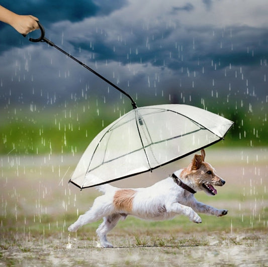 Pet Umbrella Transparent Adjustable Rainy Dog Walking Leash - The Zoo Mart