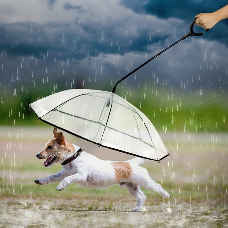 Pet Umbrella Transparent Adjustable Rainy Dog Walking Leash - The Zoo Mart