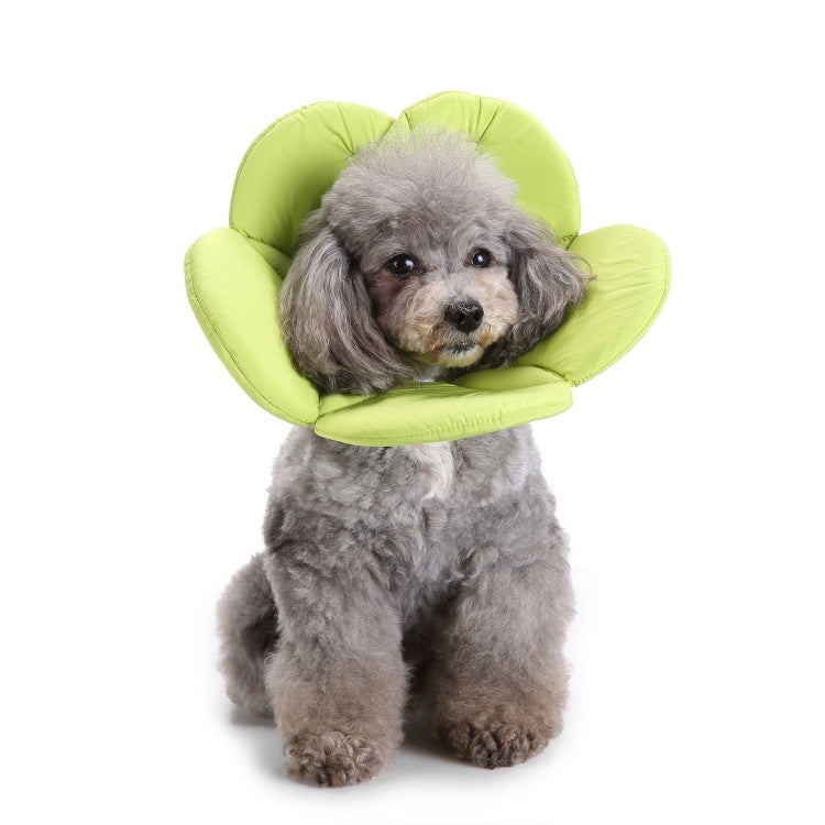 Pet Protection Collar Dog Flower Protection Collar - The Zoo Mart