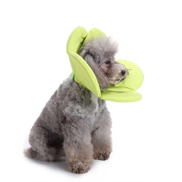 Pet Protection Collar Dog Flower Protection Collar - The Zoo Mart