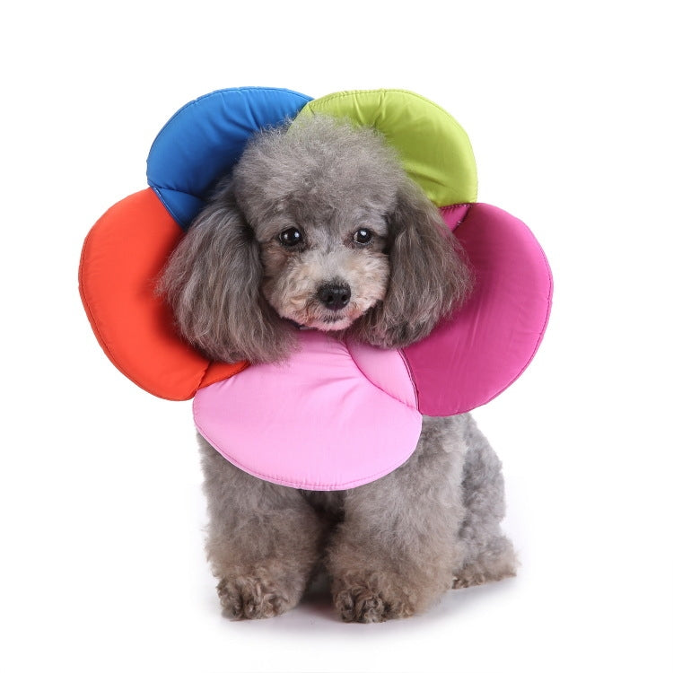 Pet Protection Collar Dog Flower Protection Collar - The Zoo Mart