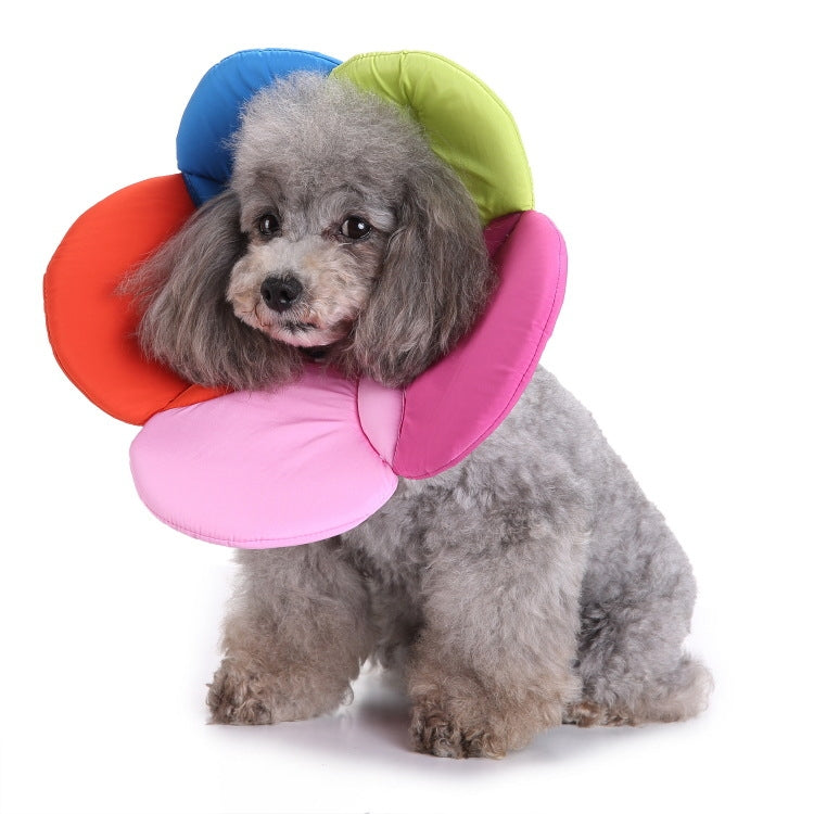 Pet Protection Collar Dog Flower Protection Collar - The Zoo Mart