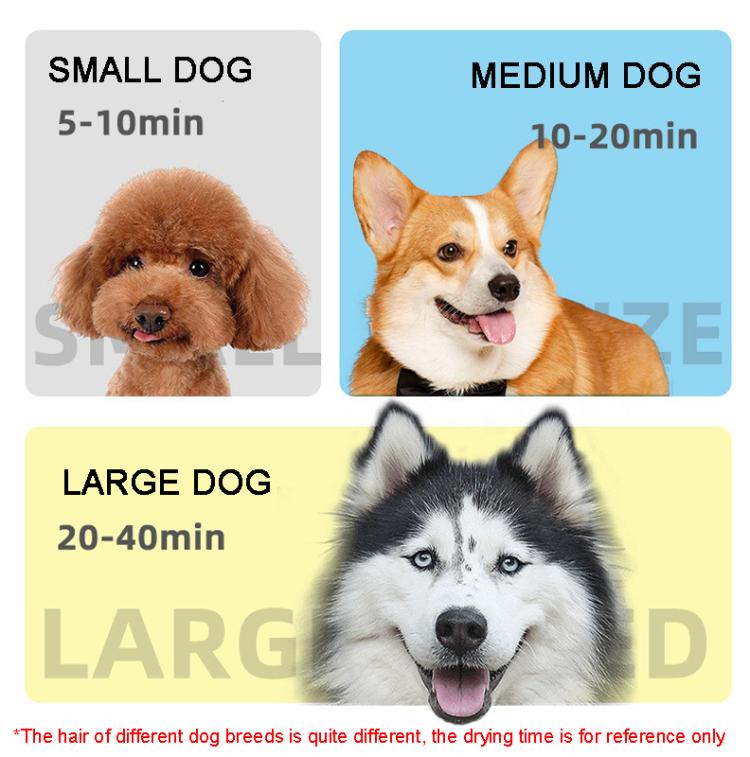 2100W Dog Dryer Stepless Speed Pet Hair Blaster With Vacuum Cleaner 220V UK Plug - The Zoo Mart