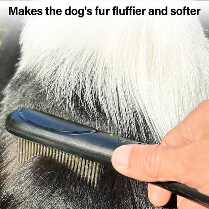 PaiPaitek PD166 Pet Safe Physical Worming Electronic Comb Pet Flea Control Brush(Black) - The Zoo Mart