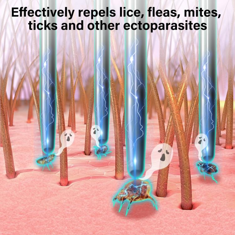 PaiPaitek PD166 Pet Safe Physical Worming Electronic Comb Pet Flea Control Brush(Black) - The Zoo Mart