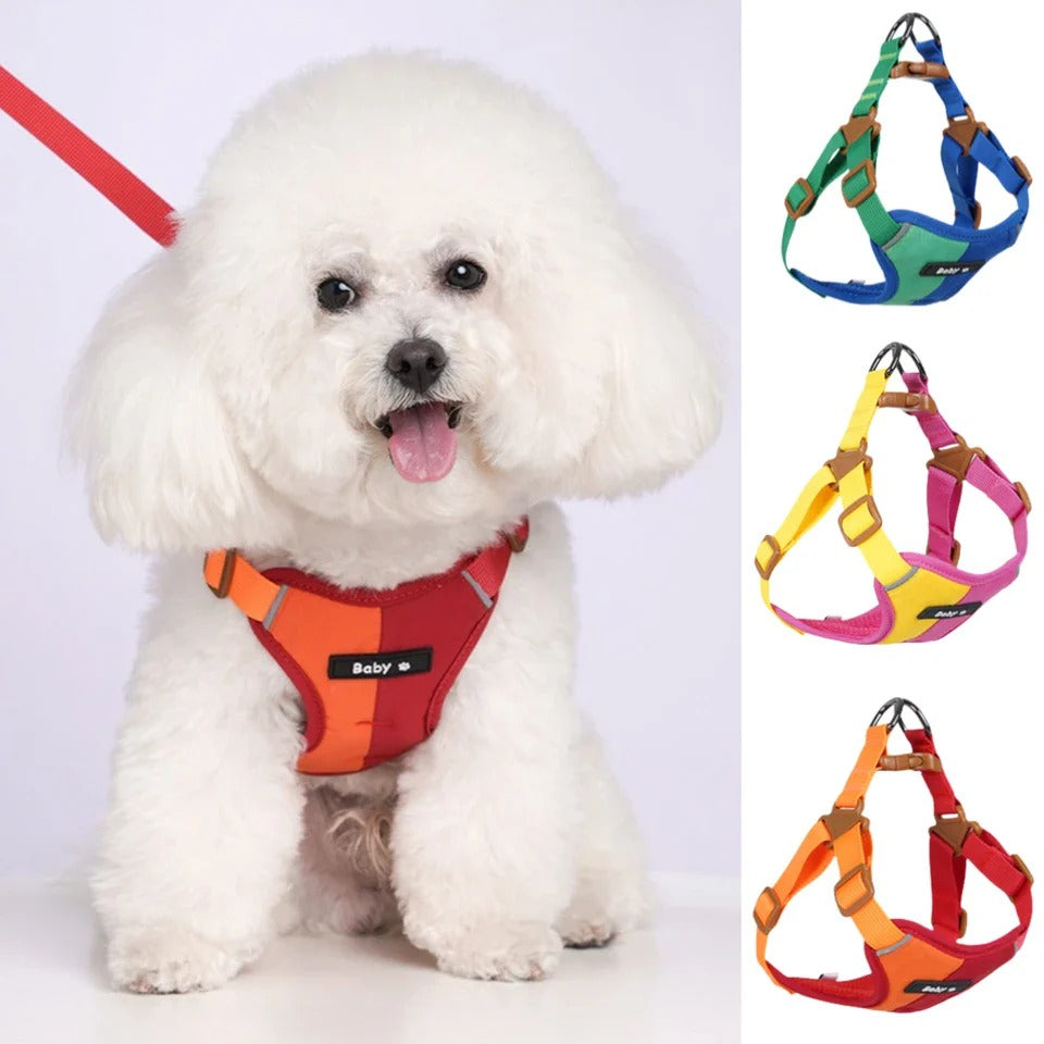 All-in-One Reflective Dog Harness & Leash - The Zoo Mart