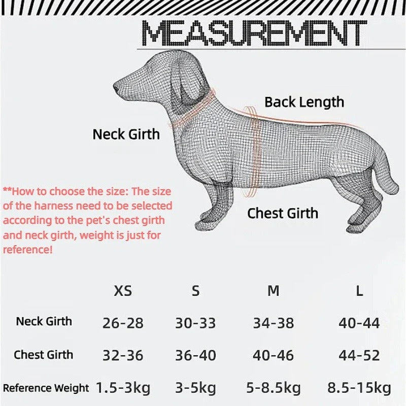 All-in-One Reflective Dog Harness & Leash - The Zoo Mart