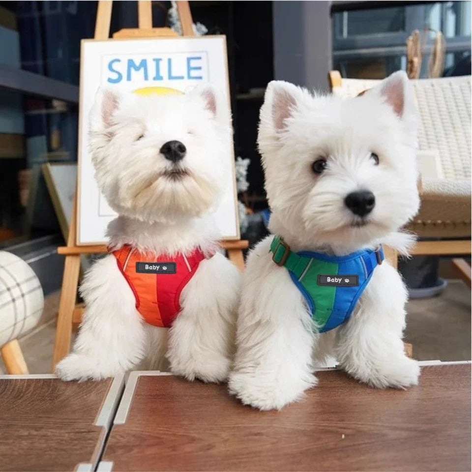 All-in-One Reflective Dog Harness & Leash - The Zoo Mart